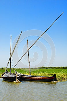 Albufera boats photo