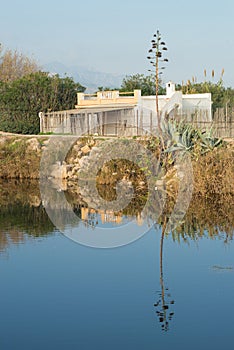 Albufera countryside