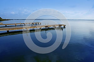 Albufera lake wetlands in Valencia Spain photo