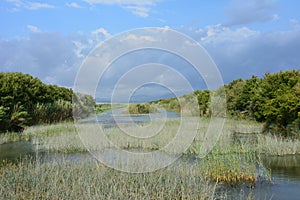 Albufera National Park