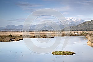 Albufera National Park; Alcudia; Majorca