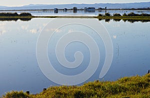 The Albufera natural park, a wetland of international importance in the Valencia region, threatened by water pollution and unsusta