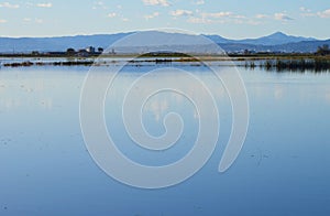 The Albufera natural park, a wetland of international importance in the Valencia region, threatened by water pollution and unsusta