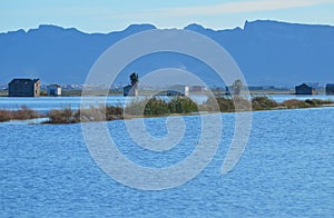 The Albufera natural park, a wetland of international importance in the Valencia region, threatened by water pollution and unsusta