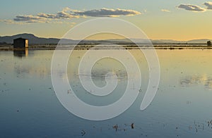 The Albufera natural park, a wetland of international importance in the Valencia region, threatened by water pollution and unsusta