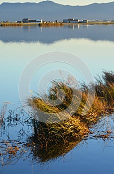 The Albufera natural park, a wetland of international importance in the Valencia region, threatened by water pollution and unsusta