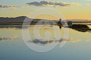 The Albufera natural park, a wetland of international importance in the Valencia region, threatened by water pollution and unsusta