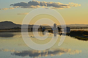 The Albufera natural park, a wetland of international importance in the Valencia region, threatened by water pollution and unsusta