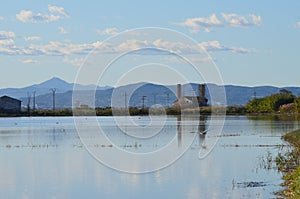 The Albufera natural park, a wetland of international importance in the Valencia region, threatened by water pollution and unsusta