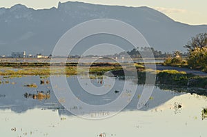 The Albufera natural park, a wetland of international importance in the Valencia region, threatened by water pollution and unsusta