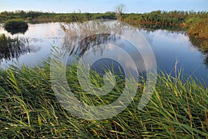 Albufera nature reserve Valencia Spain