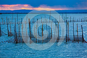 Albufera sunset lake park in Valencia el saler