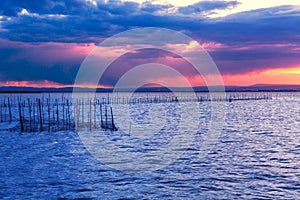 Albufera sunset lake park Valencia el saler Spain photo