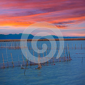 Albufera sunset lake in Valencia el saler Spain