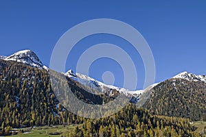 Albula mountains photo