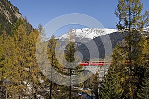 Albula train photo