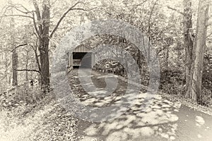 Albumen Print - Colville Covered Bridge