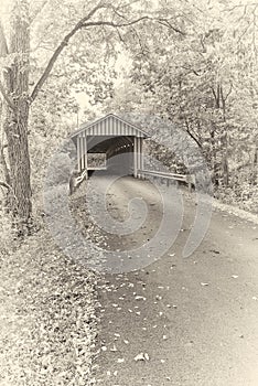 Albumen Print - Colville Covered Bridge