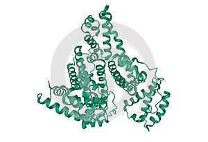 Structure of human albumin, 3D cartoon model isolated, white background