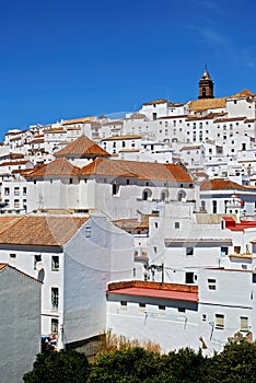 Alcala de los Grazules, Andalusia, Spain.