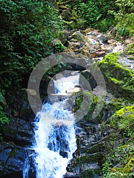 Alcamayo waterfall, aguas calientes, PerÃº. Nature photography