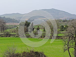 Alcarria landscape photo