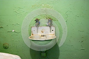 Alcatraz Sink