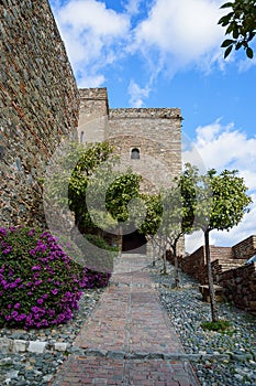 Alcazaba de Malaga in Andalusia, Spain photo