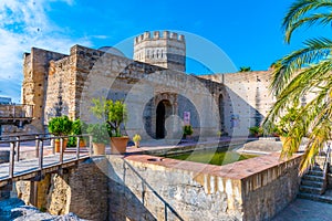 Alcazar castle at Jerez de la Frontera in Spain photo