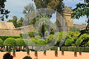 Alcazar in Cordoba photo