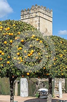 The Alcazar de los Reyes Cristianos in Cordoba, Spain, seen from the gardens