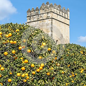 The Alcazar de los Reyes Cristianos in Cordoba, Spain, seen from the gardens