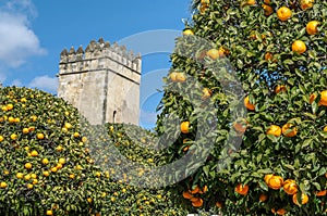 The Alcazar de los Reyes Cristianos in Cordoba, Spain, seen from the gardens