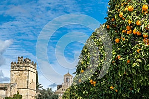 The Alcazar de los Reyes Cristianos in Cordoba, Spain, seen from the gardens