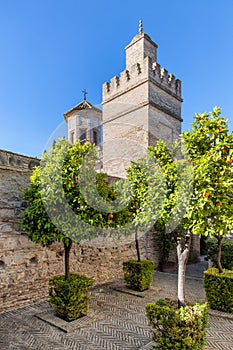 Alcazar in Jerez de la Frontera, ruta de los pueblos blanco, Andalusia, Spain photo