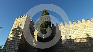 Alcazar of Seville walls and Seville Cathedral