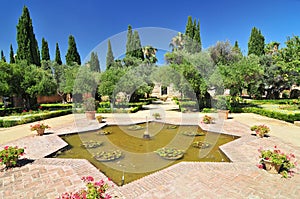 Alcazars garden, Jerez de la Frontera, Spain, Andalusia photo