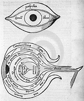 Alchemical illustration of the human eye by gregor reisch