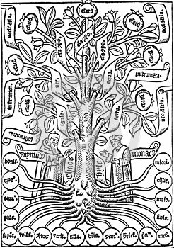 Alchemical illustration of a tree-shaped diagram taken from the arbor scientiae by raimondo lullo