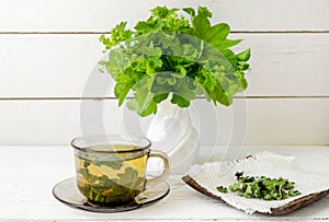 Alchemilla vulgaris, common lady\'s mantle medicinal herbal tea in clear cup. Fresh lady\'s mantle plants in vase.