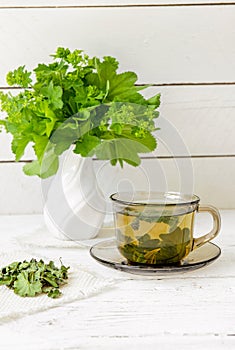 Alchemilla vulgaris, common lady\'s mantle medicinal herbal tea in clear cup. Fresh lady\'s mantle plants in vase.