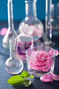 Alchemy and aromatherapy with rose flowers and chemical flasks