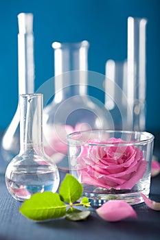 Alchemy and aromatherapy set with rose flowers and chemical flas