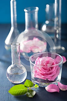 alchemy and aromatherapy set with rose flowers and chemical flasks