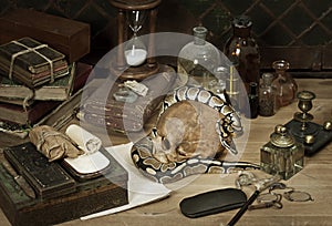 Alchemy still life with Royal Python