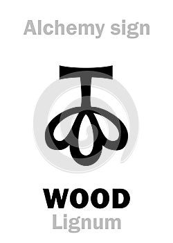 Alchemy: WOOD (Lignum)