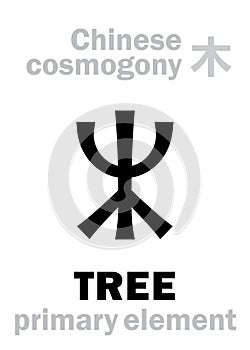 Alchymie: TREE / WOOD (Chinese primary element)