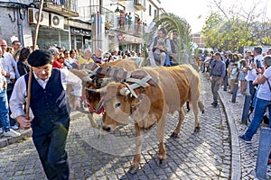 Alcochete is celebrating one of its oldest festivities: the CÃ­rio dos MarÃ­timos.