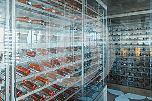 Alcohol beverage. Colorful sparkling wine and champagne bottles collection in bar on rack shelves. Product in store warehouse.