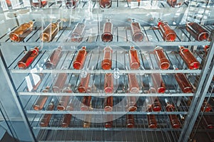 Alcohol beverage. Colorful sparkling wine and champagne bottles collection in bar on rack shelves. Product in store warehouse.